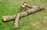 main.post.bowsaw.jpeg