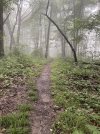 IMG_5848.jpeg