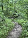 IMG_5850.jpeg