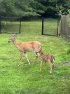 IMG_2992.jpeg