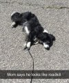 IMG_8041.jpeg