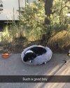 IMG_8055.jpeg