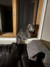 IMG_0778.jpeg