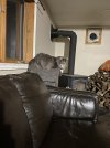 IMG_0779.jpeg