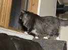 IMG_0782.jpeg