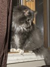 IMG_0790.jpeg