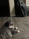 IMG_0792.jpeg