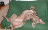 Pose3.jpg
