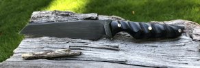 IMG_9581.jpeg