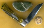 Green Bullet 2.jpg