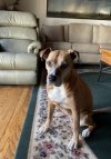 skyler 02062023.jpg