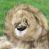 1688622255887.png