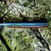 puukko7.jpg