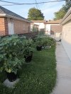 IMG_20230706_191935122.jpg