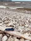 IMG_6347.jpeg
