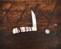 2022-tuna-phoenix-purpletooth-proto-01lo.jpg