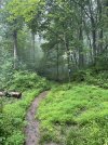 IMG_5849.jpeg