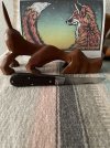 IMG_5903.jpeg