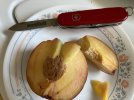 IMG_4805.jpeg
