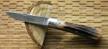 GEC #74 Stag Mustang 4 .jpg