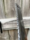 IMG_0164.jpeg