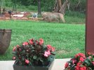 IMG_0198.jpeg