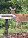 IMG_5176.jpeg