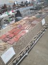 IMG_20230401_132539.jpg