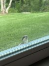IMG_2692.jpeg