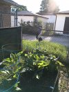 IMG_20230710_074034953.jpg