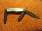 hornet2.jpg