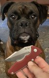 IMG_7882.jpeg