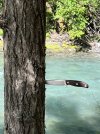 IMG_4117.jpeg