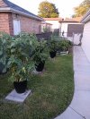 IMG_20230710_200102824.jpg