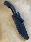 IMG_3528.jpeg