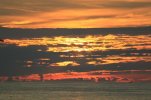 IMG_2016.jpg