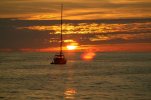 IMG_2024.jpg