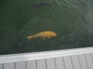 IMG_1600.jpeg