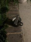 IMG_5063.jpeg