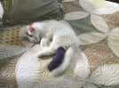 IMG_3256.jpeg