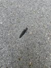 IMG_5600.jpeg