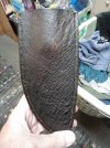 IMG_20230625_111444_burst_01.jpg