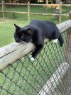 IMG_3552.jpeg
