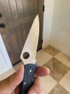 IMG_9246.jpeg