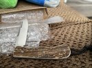 IMG_7133.jpeg