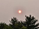 20230715_071011.jpg