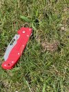 IMG_1079.jpg
