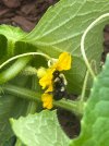 IMG_6677.jpeg