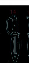 IMG_2063.jpeg