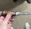 IMG_5199.jpeg